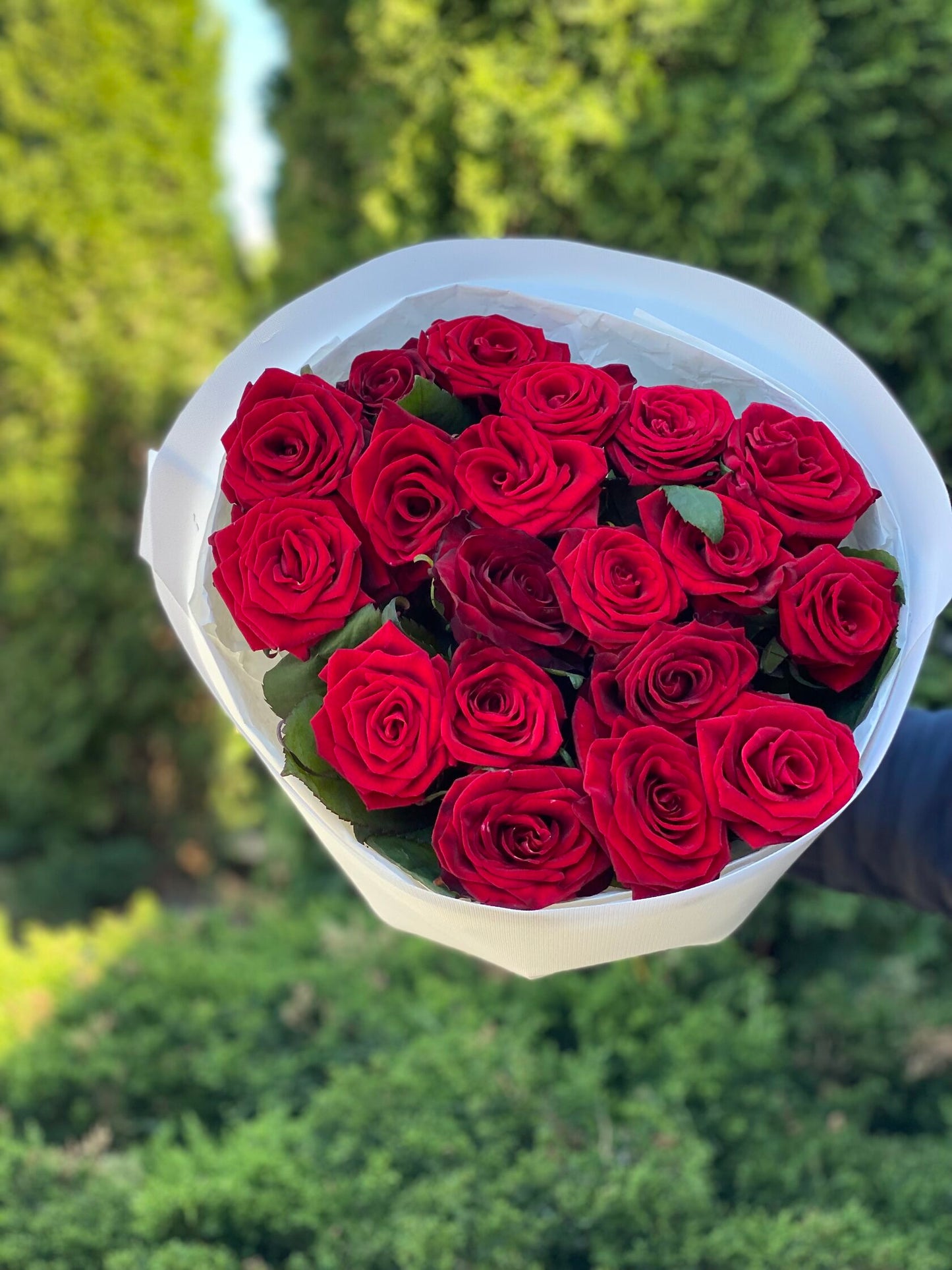 19 Roses Variety Grand Prix