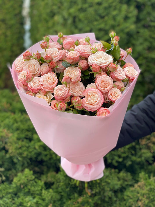 19 Spray Peony Roses Variety Madame Bombastic

