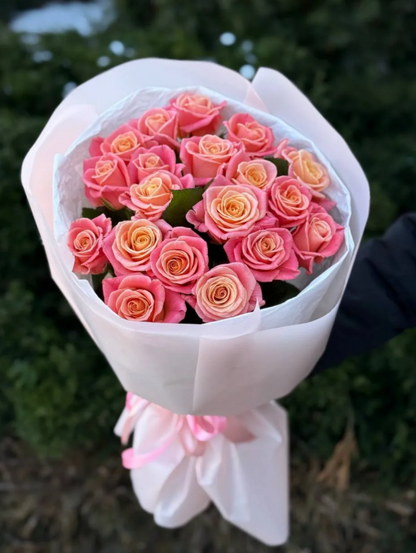 19 roses variety Miss Piggy