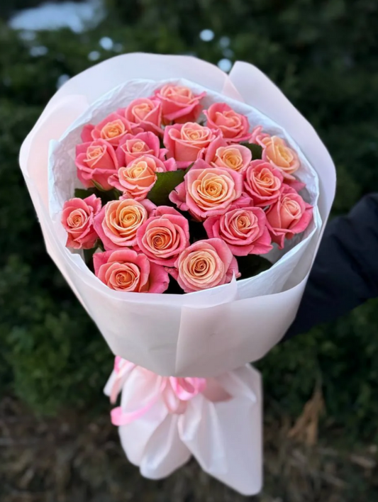 19 roses variety Miss Piggy
