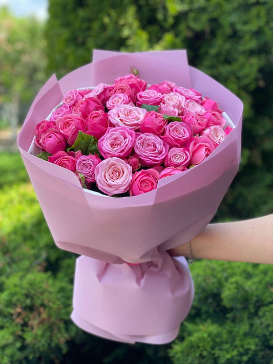 39 Peony Roses Varieties Light and Lady Bombastic
