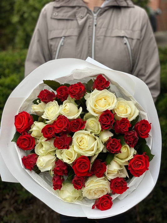 39 Roses Varieties El Toro and Avalanche