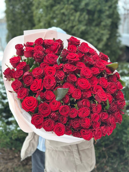 101 Roses Variety Prestige