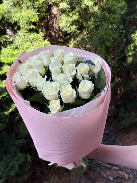 19 Roses Variety Beluga