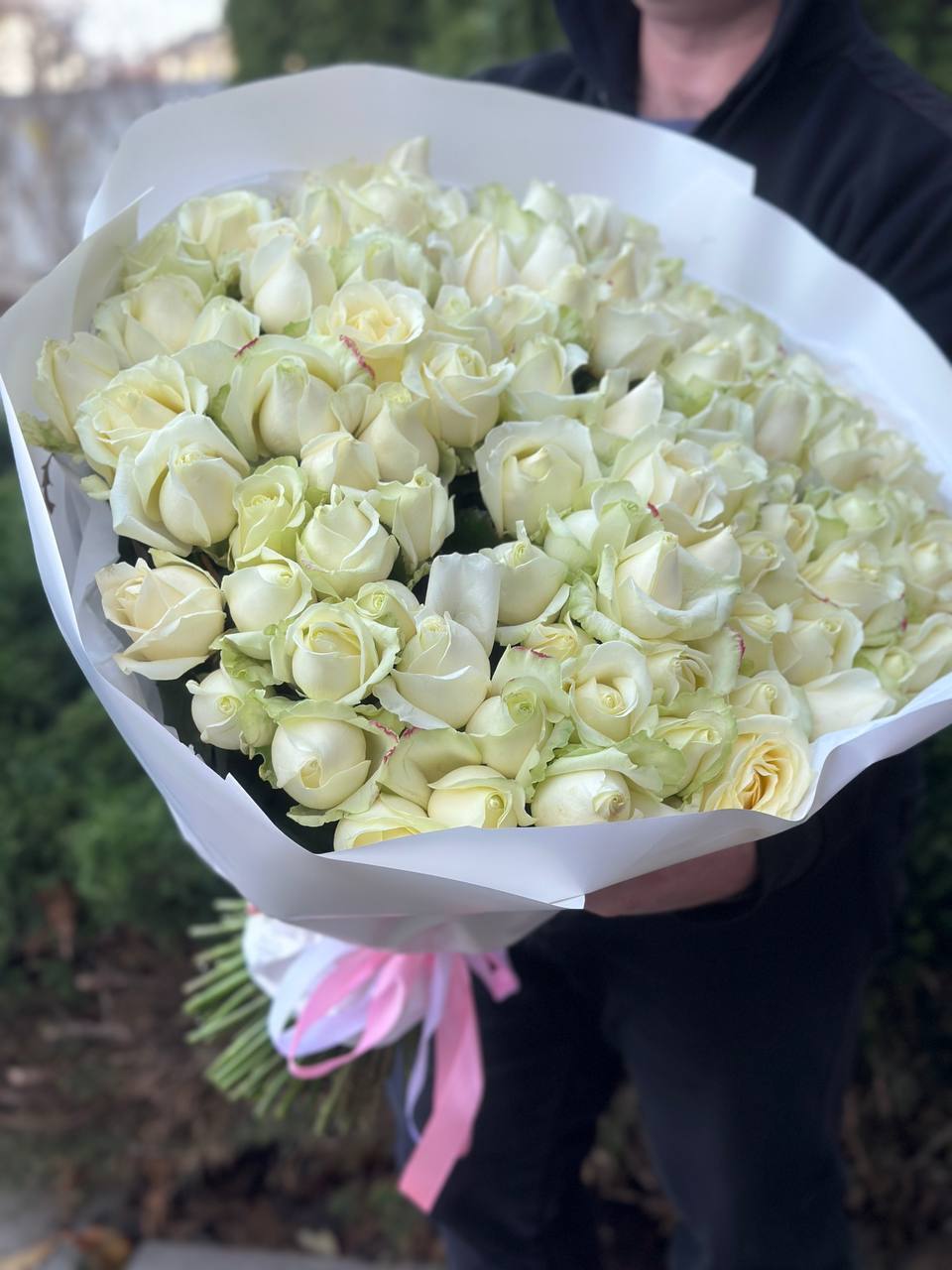 101 Roses Variety Avalanche