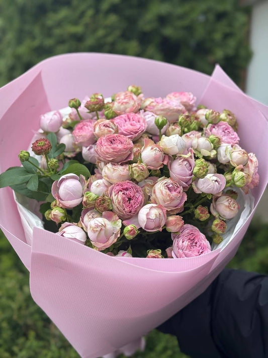 19 spray peony-shaped roses Lavender