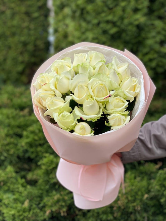 19 Roses Variety Avalanche