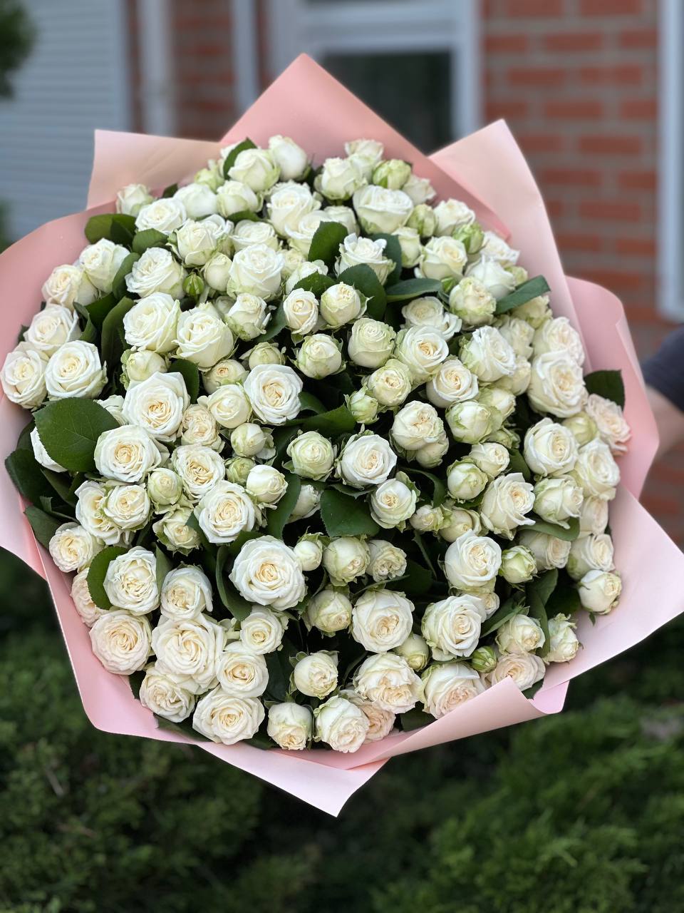 101 Roses Variety Miss Bombastic