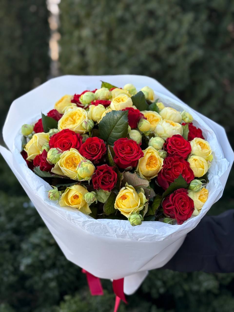 39 Roses Varieties El Toro and Peony