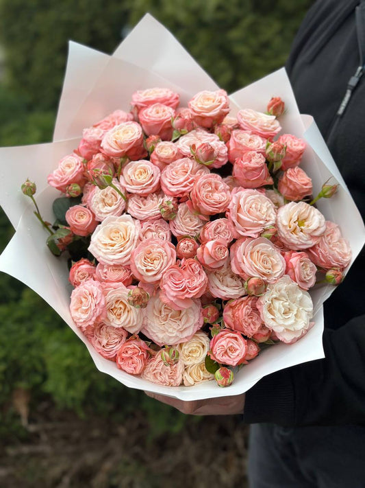 39 Spray Peony Roses Variety Bombastic