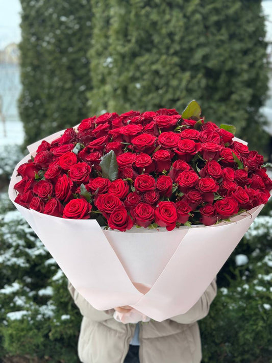 101 Roses Variety Prestige