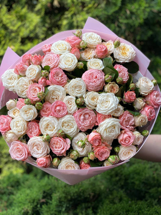 51 peony-shaped roses of the Miss Bombastic and Bombastic varieties
