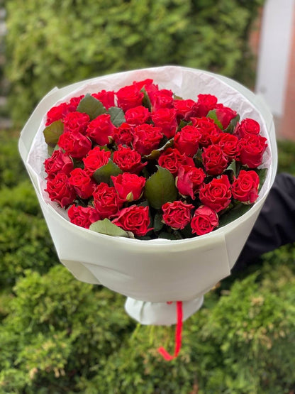 39 Roses Variety El Toro