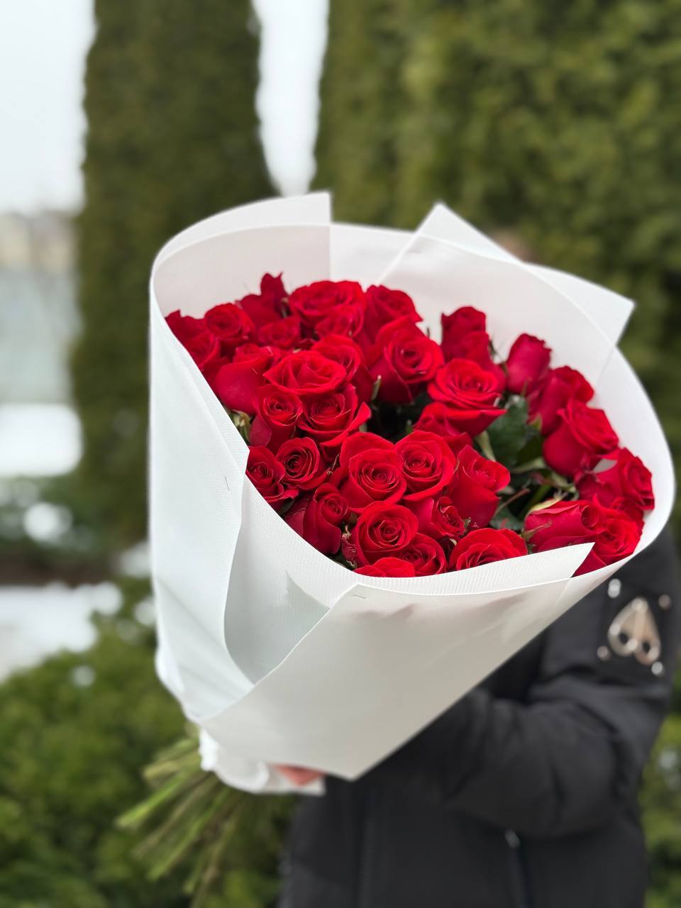 39 Roses Variety Red Eagle
