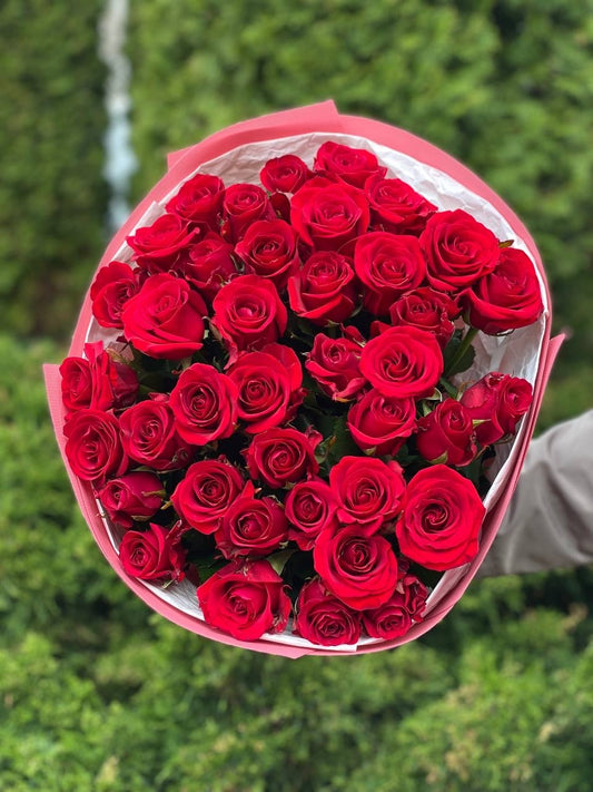 39 Roses Variety Red Eagle