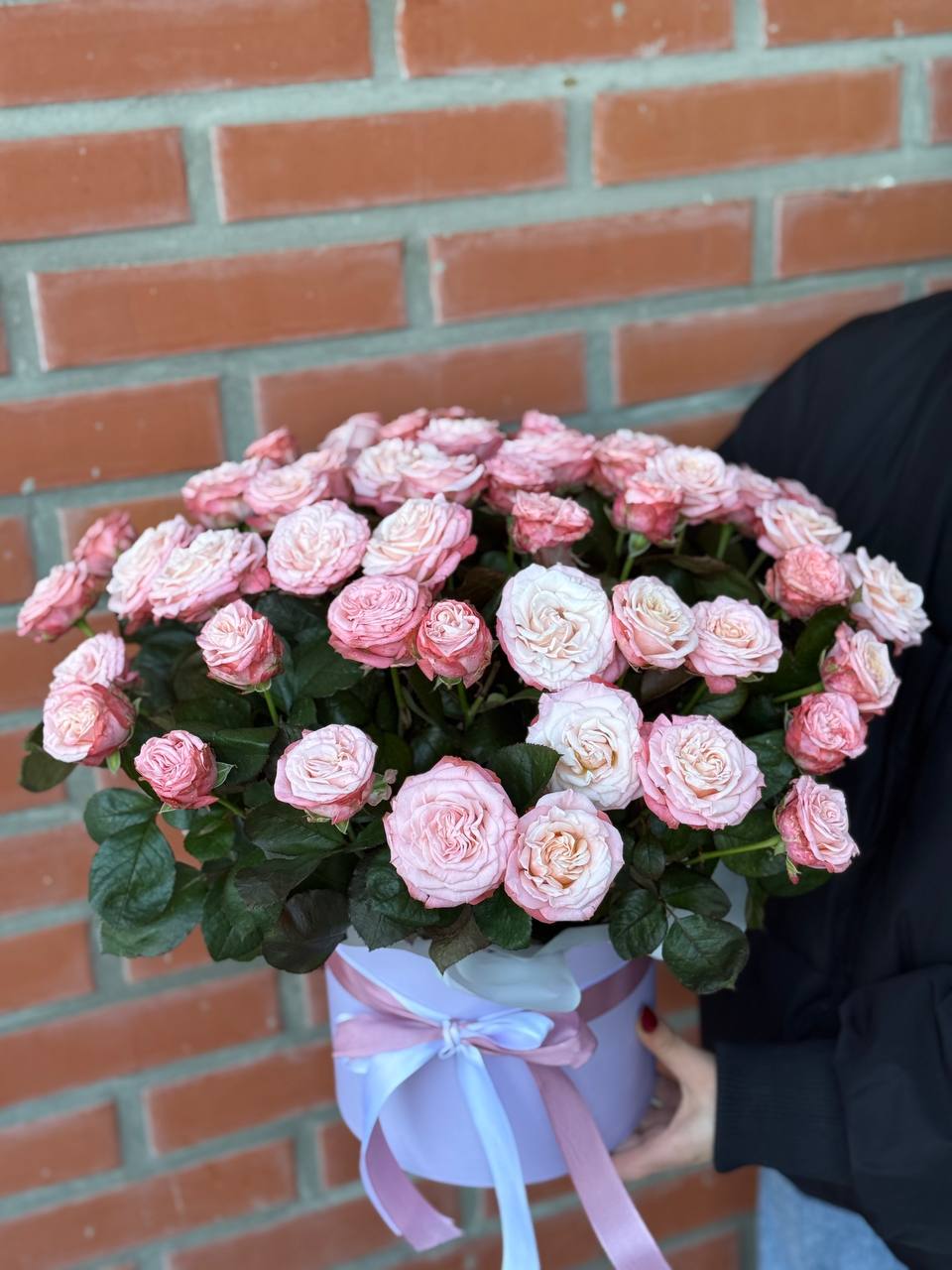 Hat Box size XL 51 Roses (Variety Bombastic)
