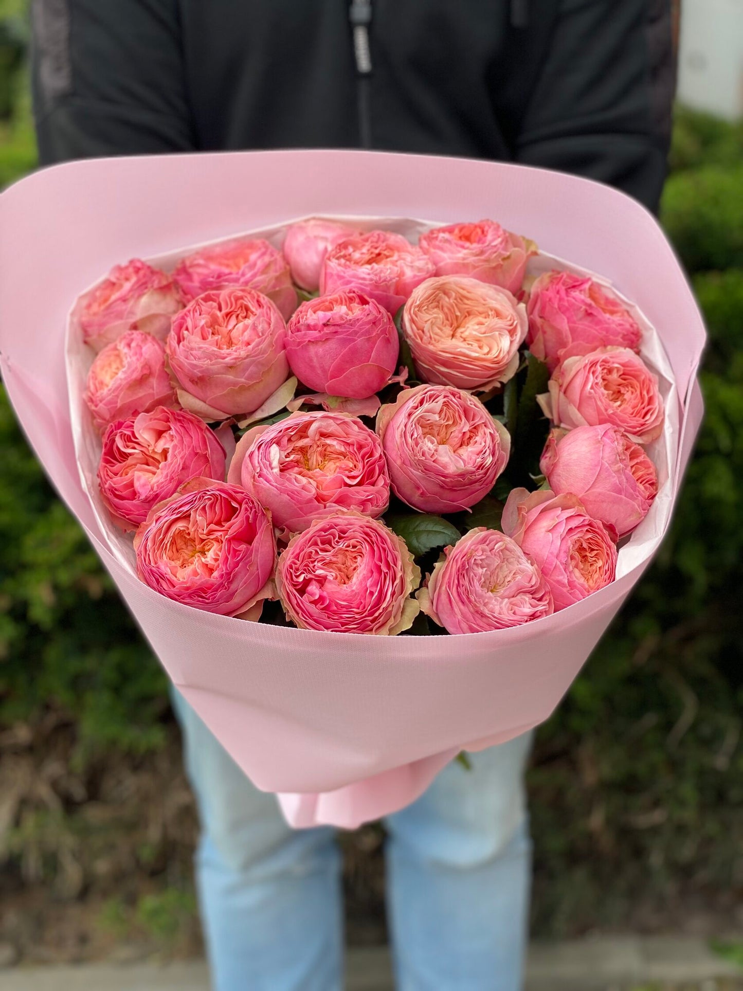 19 Roses Variety Harper Peony Roses