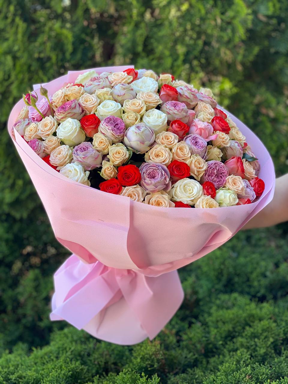101 Peony-Shaped Roses (Miss Bombastic, Bombastic, Lavender &amp; Orange)