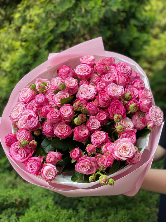 51 peony-shaped roses of the Lady Bombastic variety