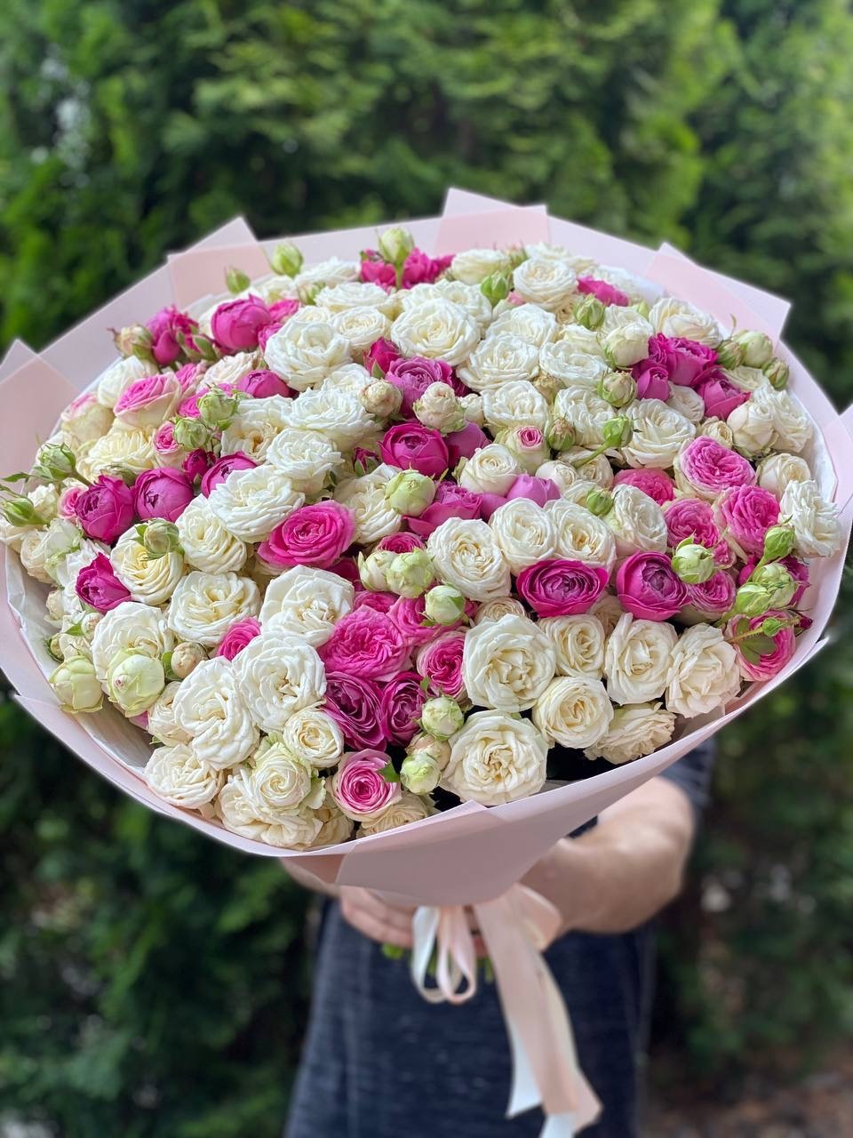 101 Peony-Shaped Roses (Miss Bombastic &amp; Lavender Lace Varieties)