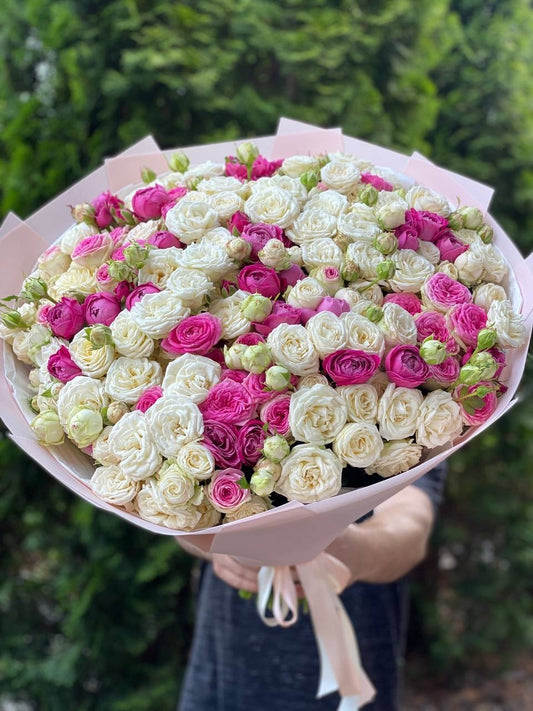 101 Peony-Shaped Roses (Miss Bombastic &amp; Lavender Lace Varieties)