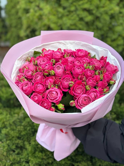 39 Peony Roses Variety Majestic