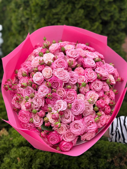 101 Peony-Shaped Roses of the Lady Bombastic Variety