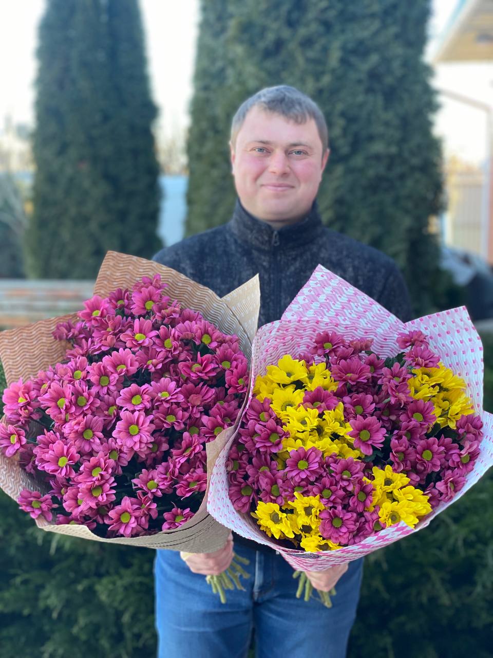 15 daisy-like chrysanthemums (color Purple and Yellow)
