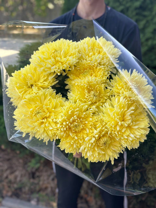 9 single-headed chrysanthemums (color Yellow)