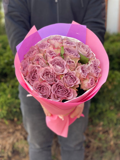 19 Roses Variety Purple Holland
