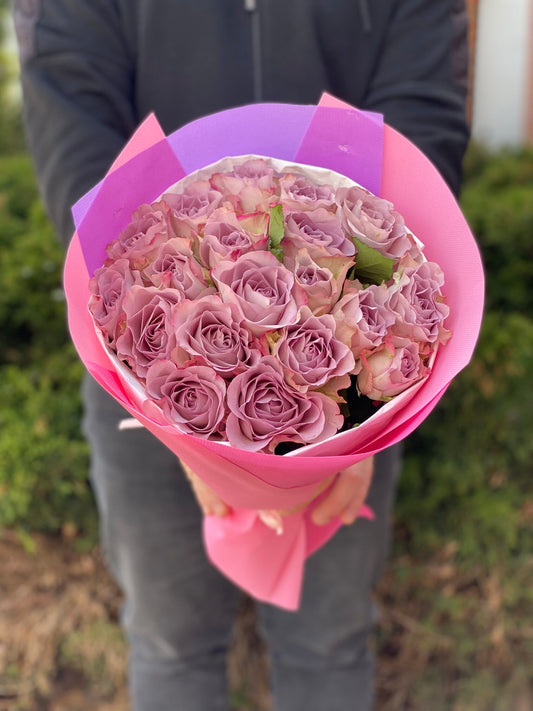 19 Roses Variety Purple Holland