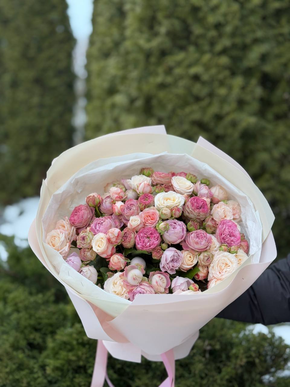 39 Roses Varieties Bombastic and Lavender