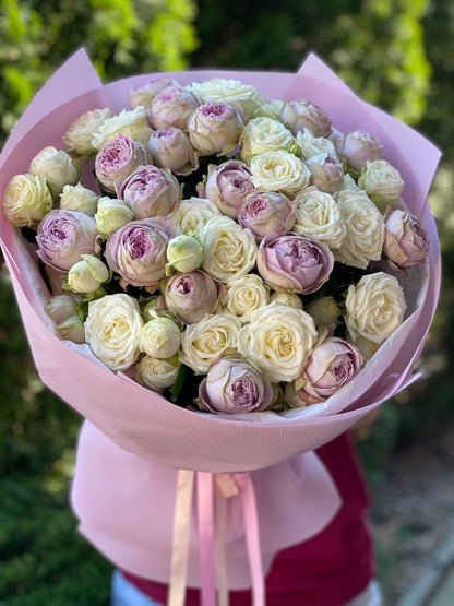 39 Roses Varieties Miss Bombastic and Lavender