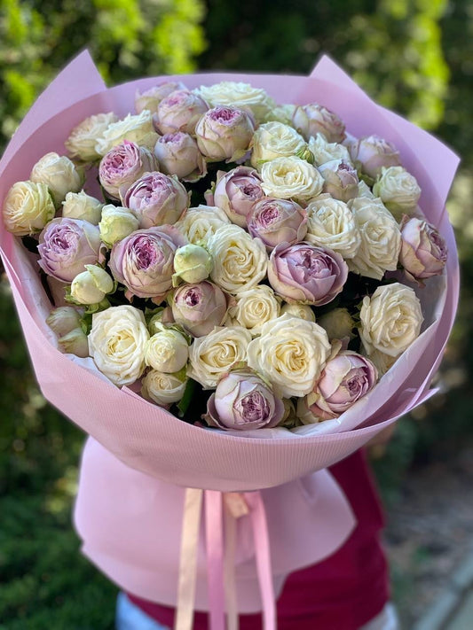 39 Roses Varieties Miss Bombastic and Lavender