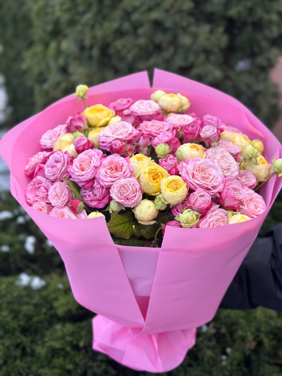 39 Peony Roses Varieties Peony and Lady Bombastic