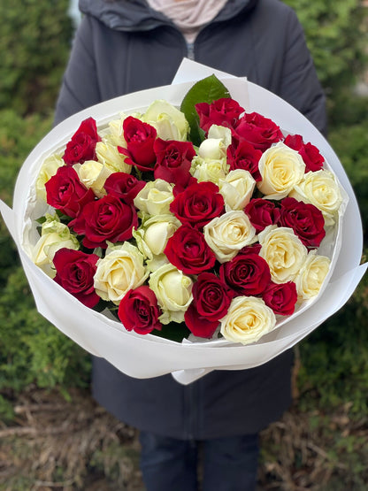 39 Roses Varieties Grand Prix and Avalanche