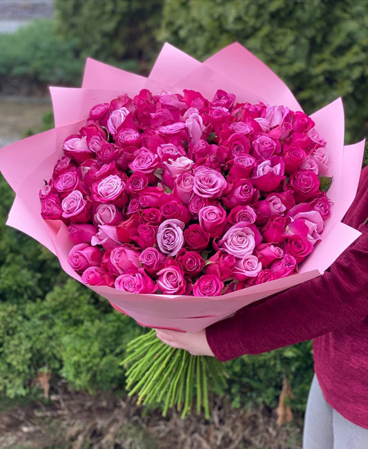 101 Roses Variety Prince of Persia