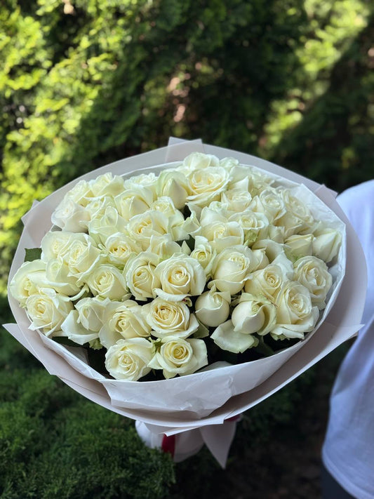 51 Roses of Avalanche Variety