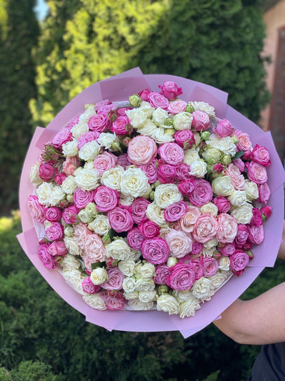 101 Spray Roses (Varieties Tanja, Lavender, Lavender Lace)