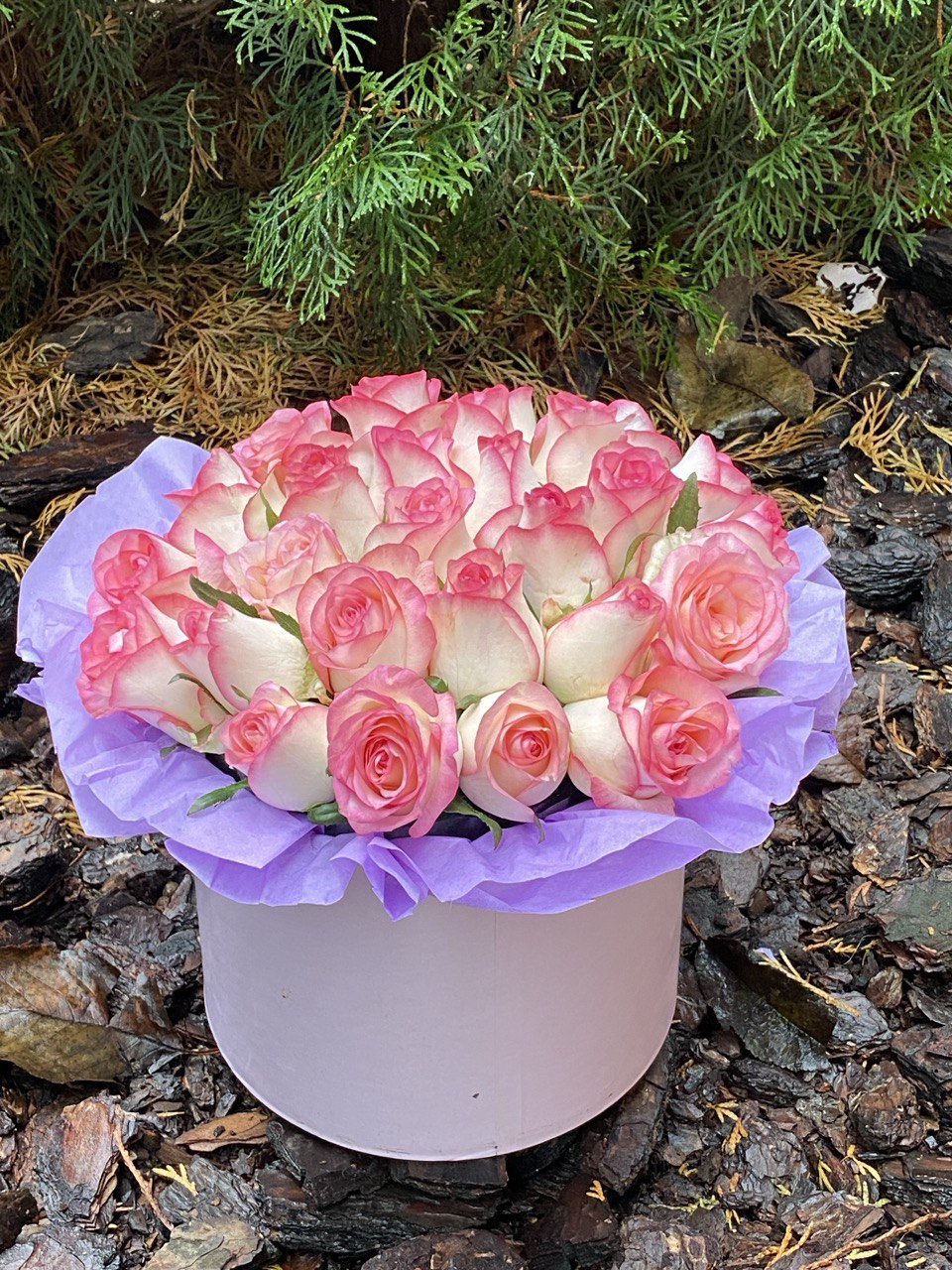 Flowers in a hat box, size M, variety Jumilia