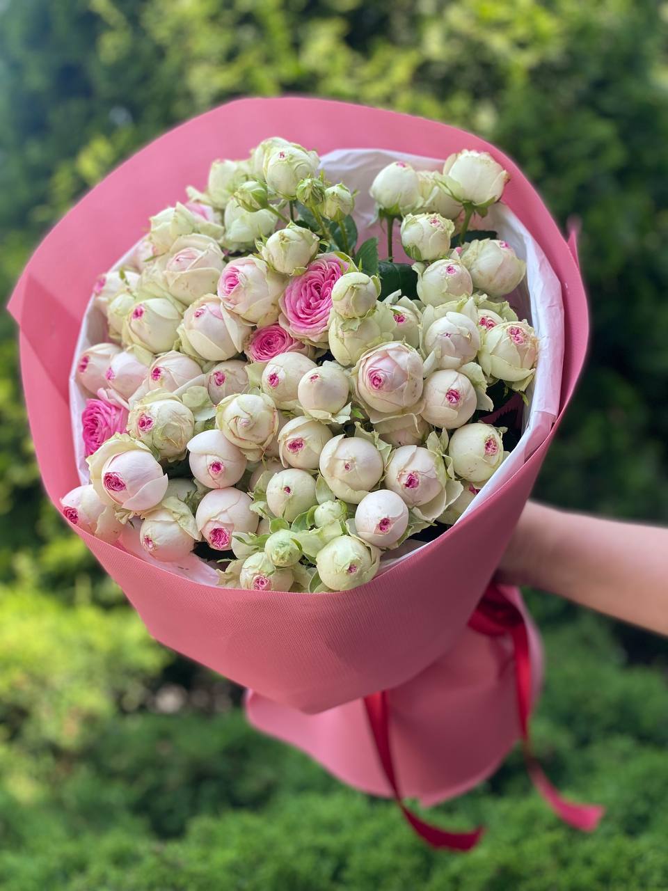 19 spray peony-shaped roses Gelato