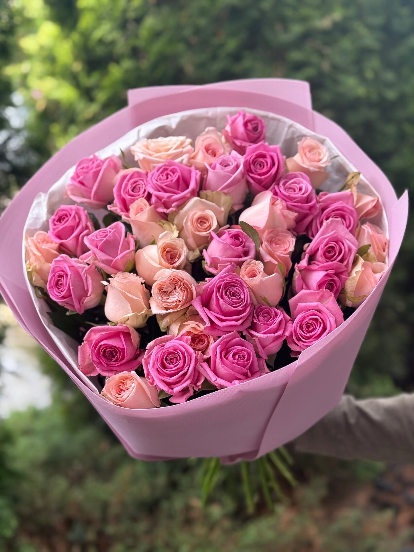 39 Roses Varieties Aqua and Kimberly