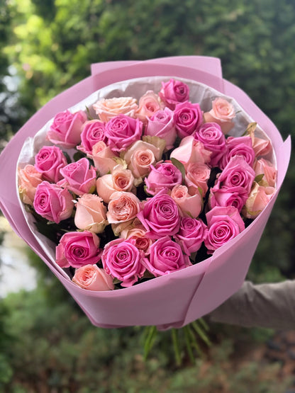 39 Roses Varieties Aqua and Kimberly