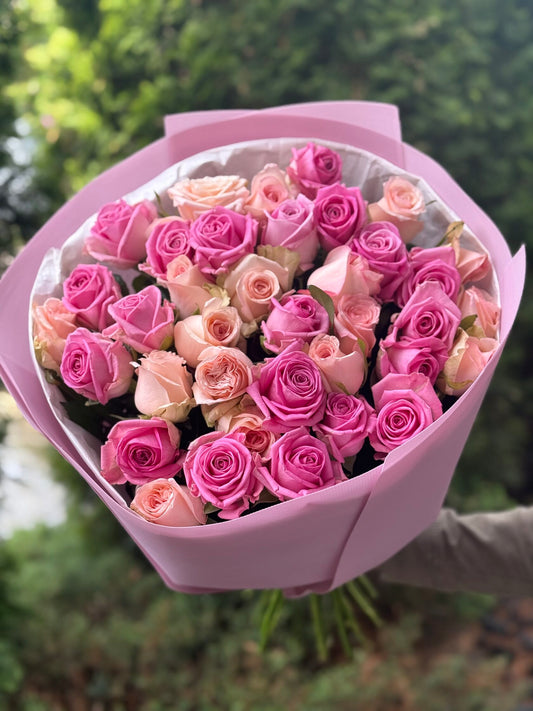 39 Roses Varieties Aqua and Kimberly