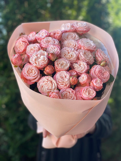 19 Spray Peony Roses Variety Madame Bombastic
