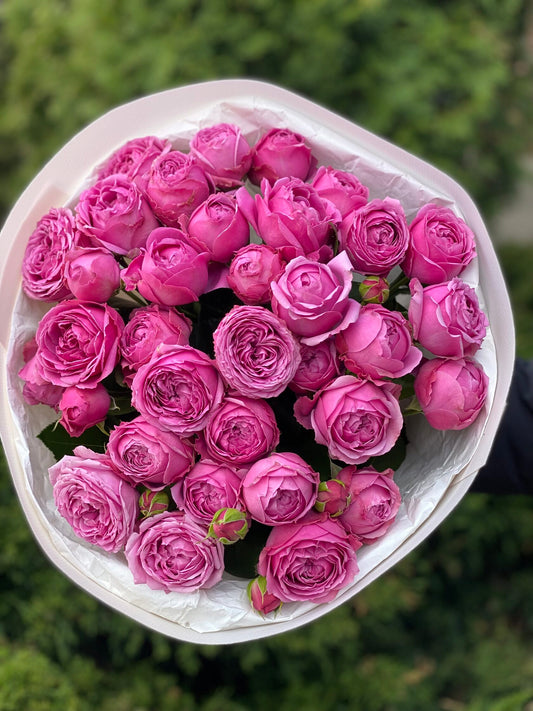 19 branchy peony roses, Lavenderlace variety