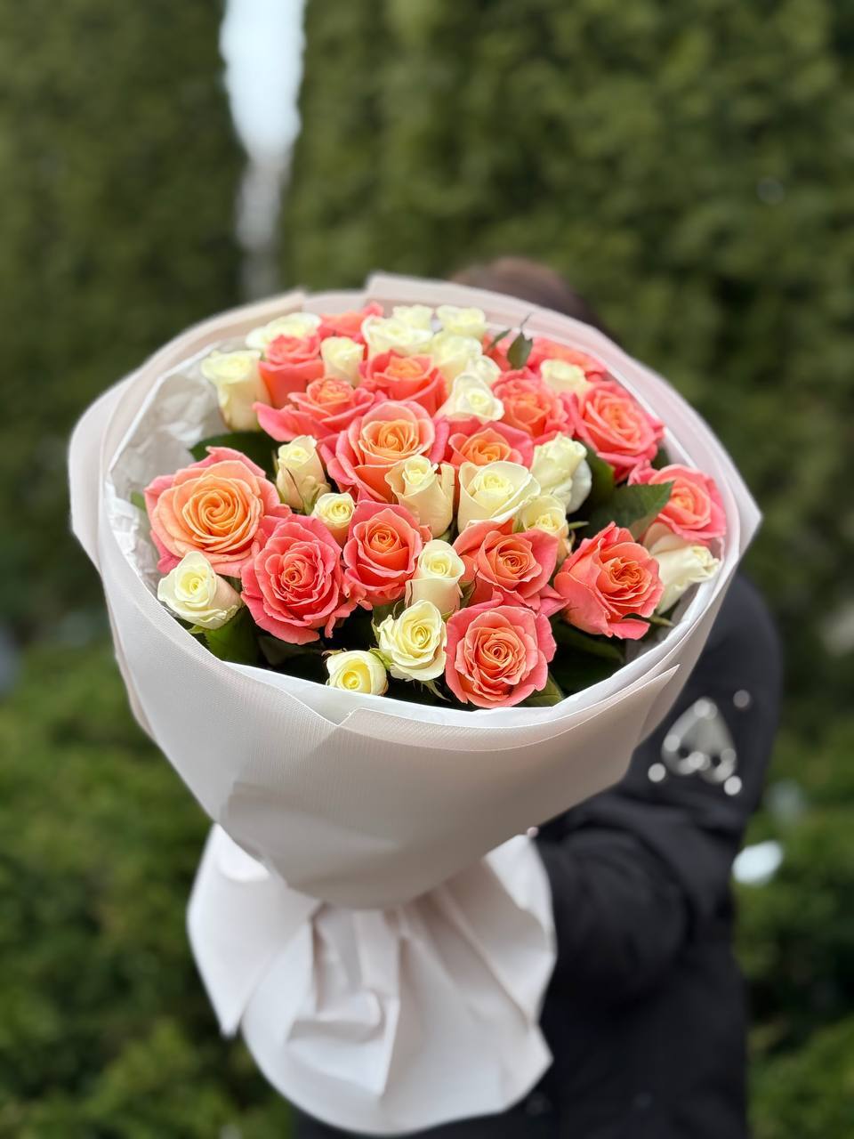 39 Roses Varieties Miss Piggy and Beluga