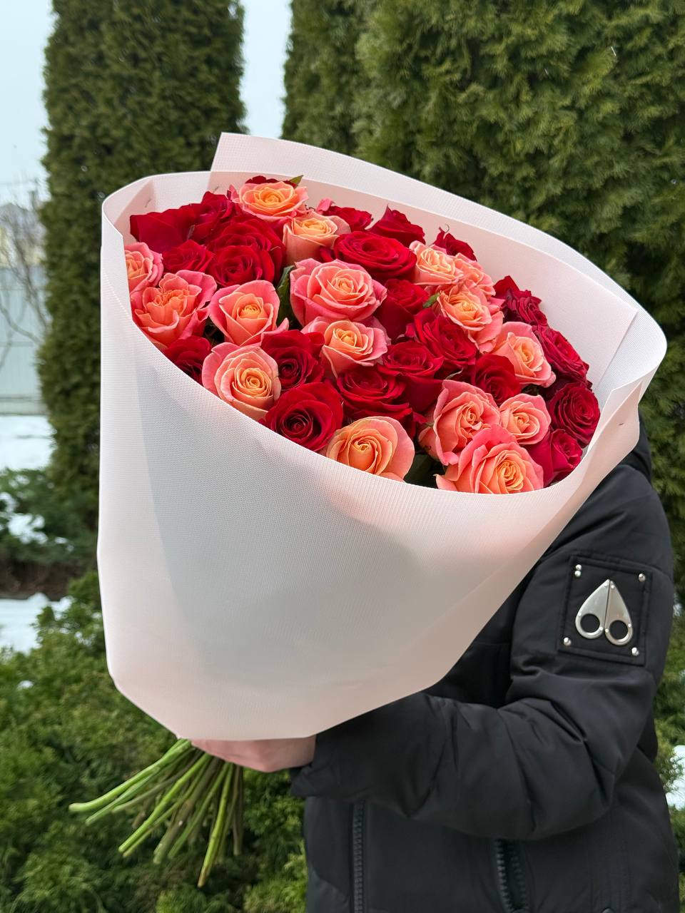 39 Roses Varieties Miss Piggy and Red Eagle