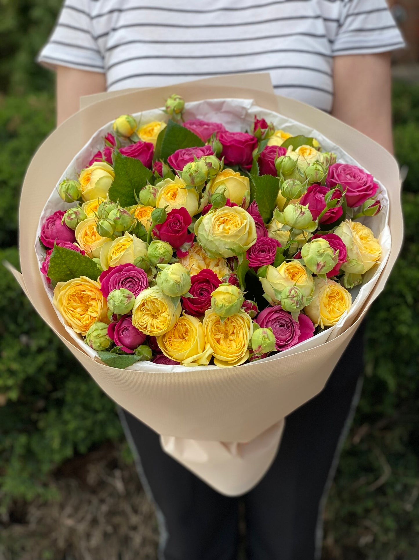39 Peony Roses Varieties Majestic and Peony
