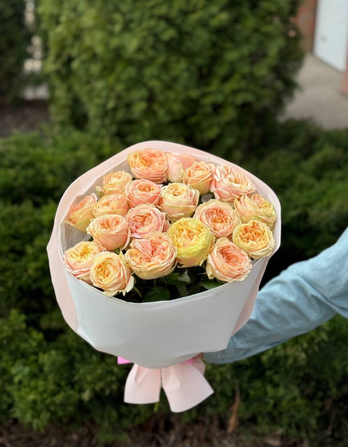 19 Roses Variety Priscilla Peony Roses